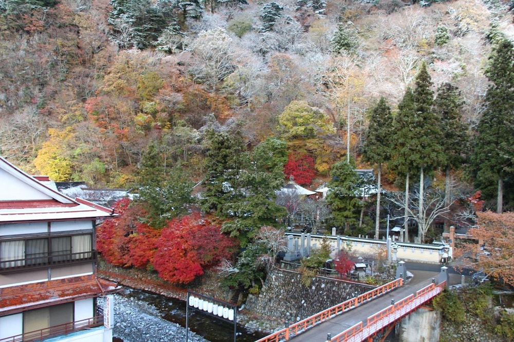 Atarashiya Ryokan - Dorogawa-Onsen Hot Spring 6/24