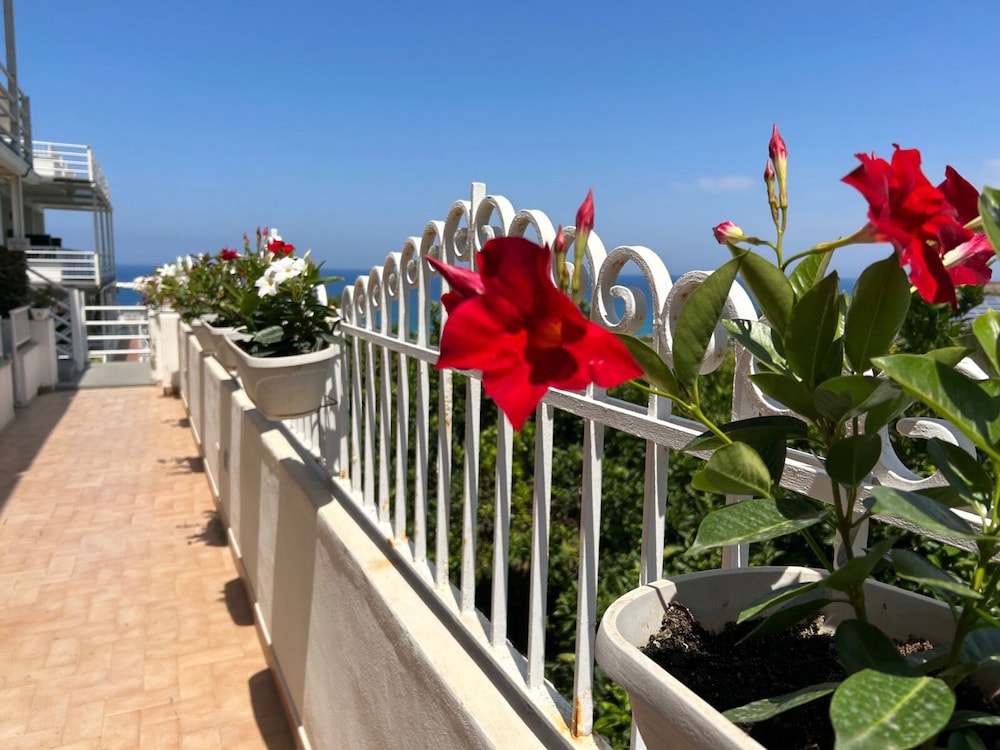 Hotel Valemare 53/57