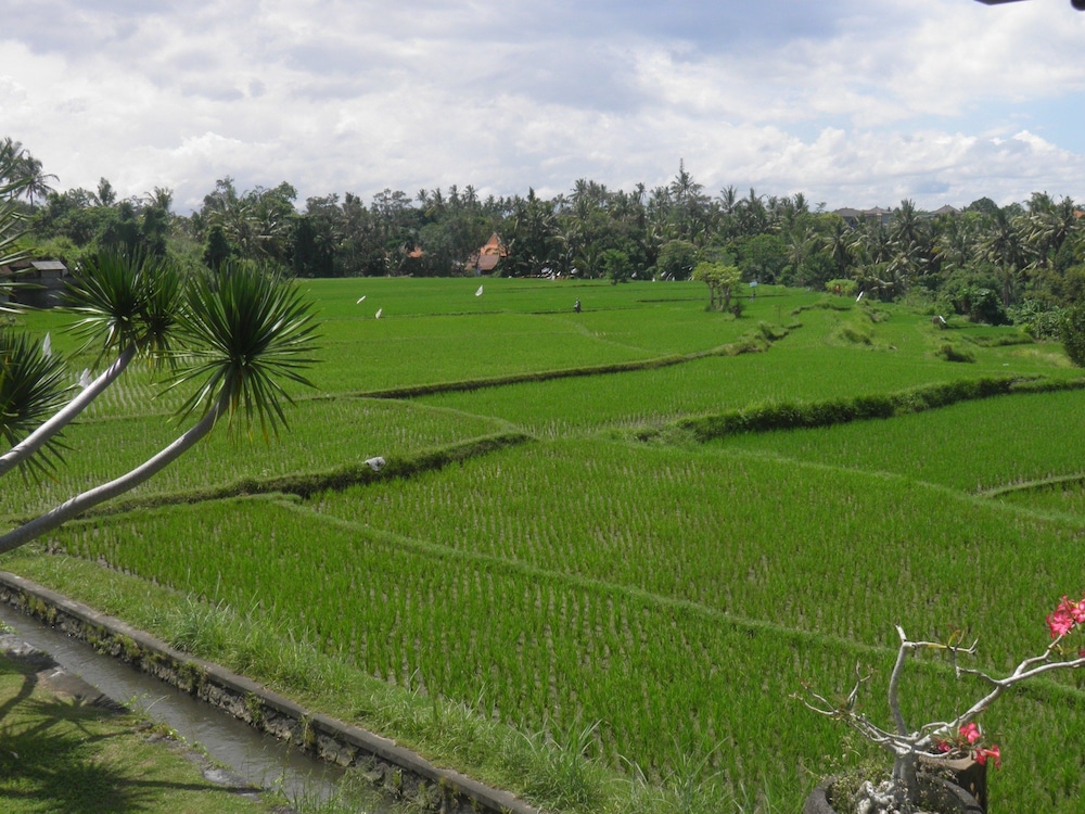 Bumi Ubud Resort 42/69