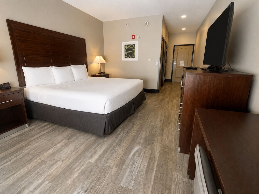 Room, King Bed, Accessible