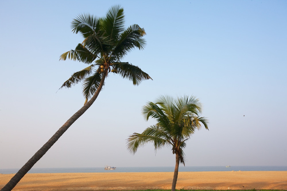 NEELESHWAR HERMITAGE 25/42