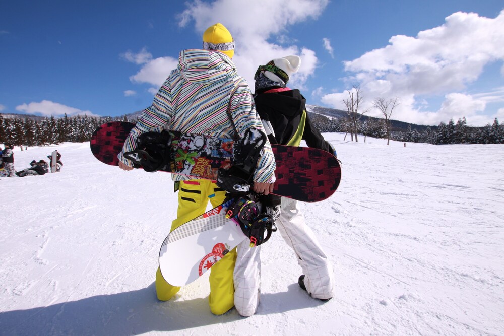 HOTEL HARVEST SKI JAM KATSUYAMA 43/72