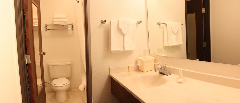 GuestHouse Inn, Suites & Conference Center Missoula 21/81