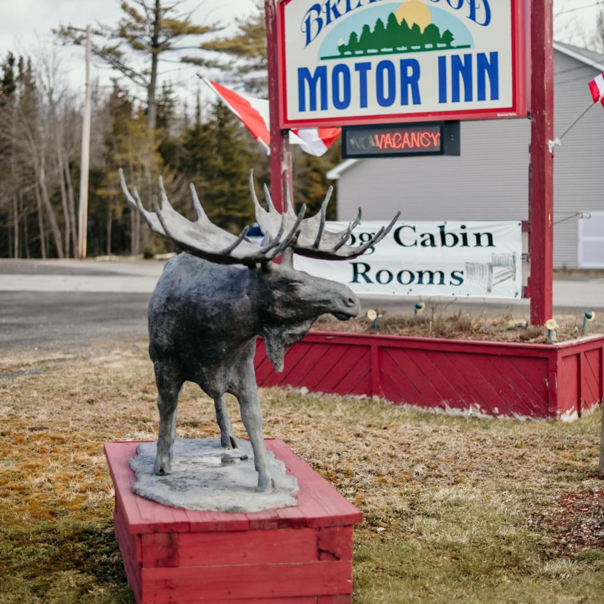 Briarwood motor inn 38/41