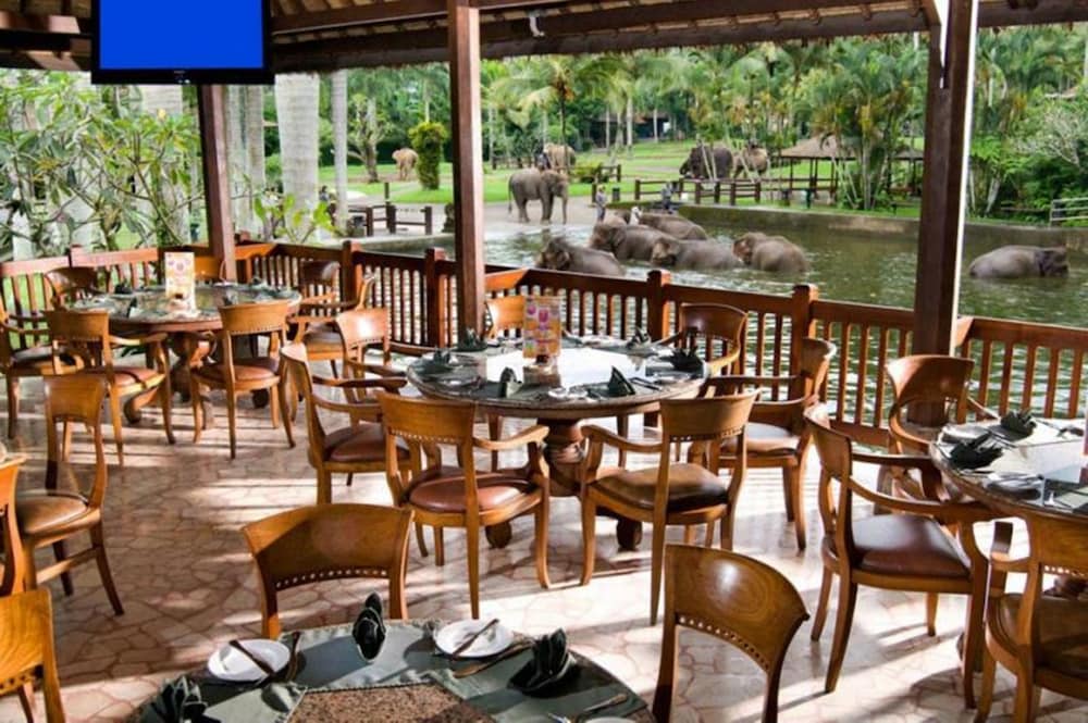 Mason Elephant Park & Lodge 17/27