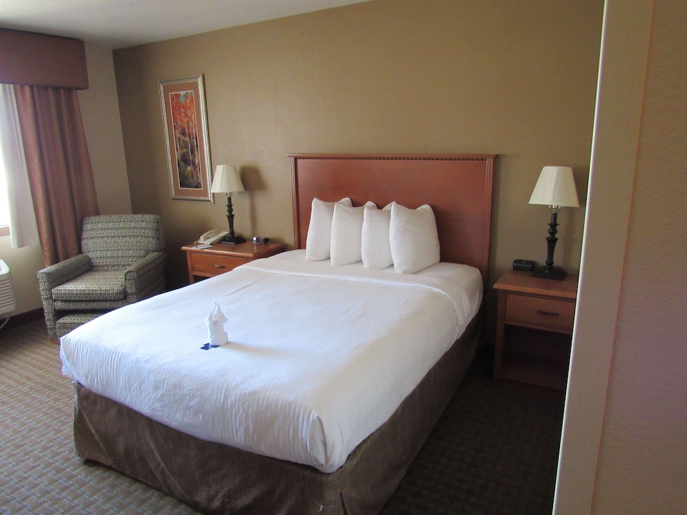 ROOM, QUEEN BED, ACCESSIBLE