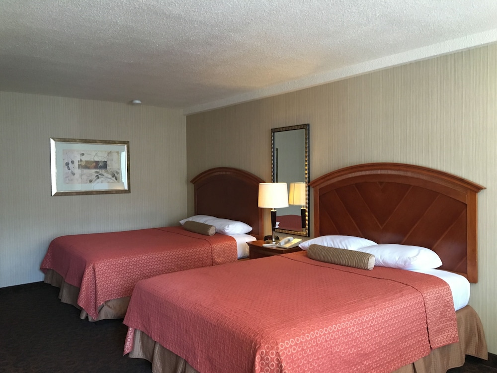 Royal Pacific Motor Inn 21/59