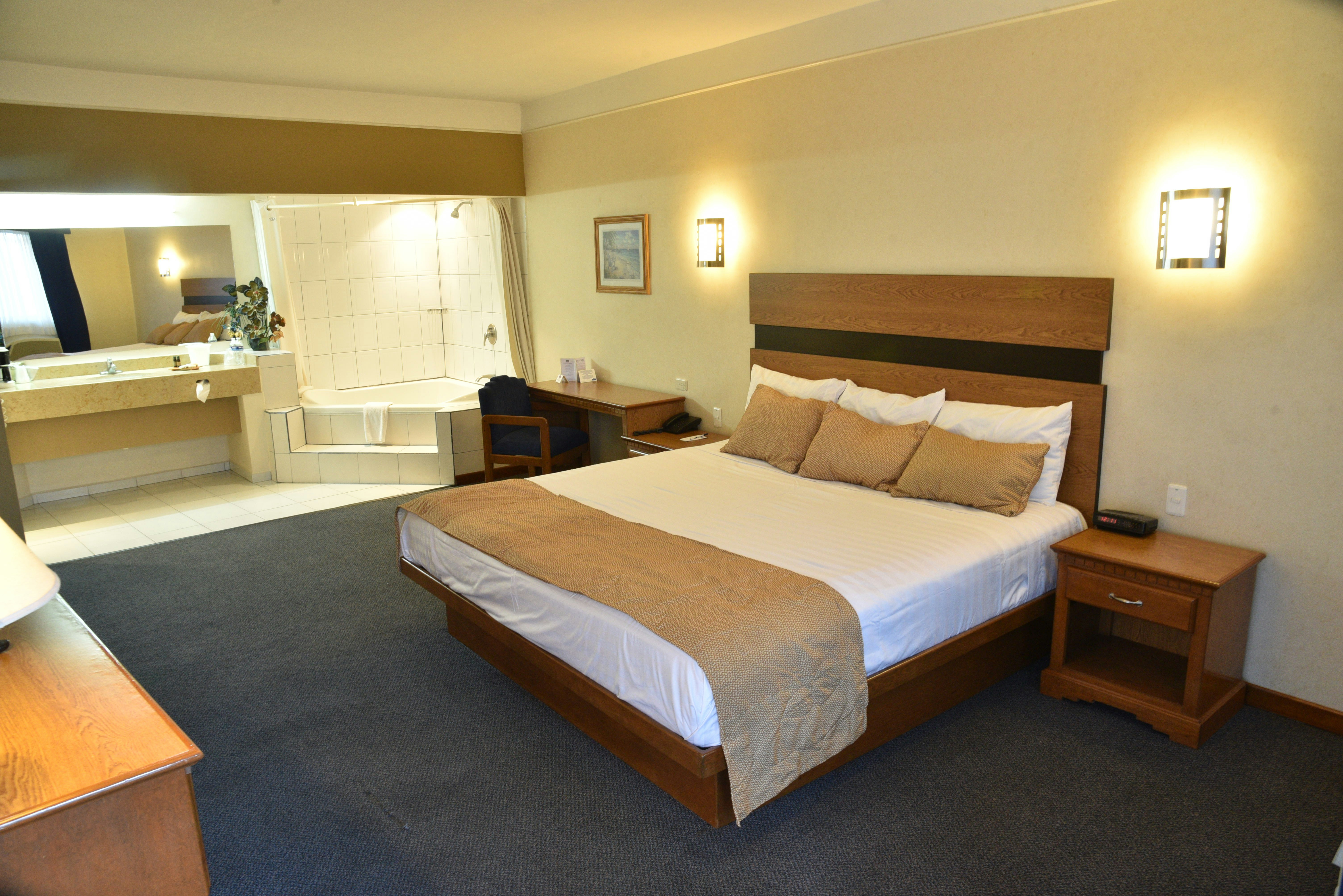 American Inn Hotel Suites Hidalgo Del Parral 15/45