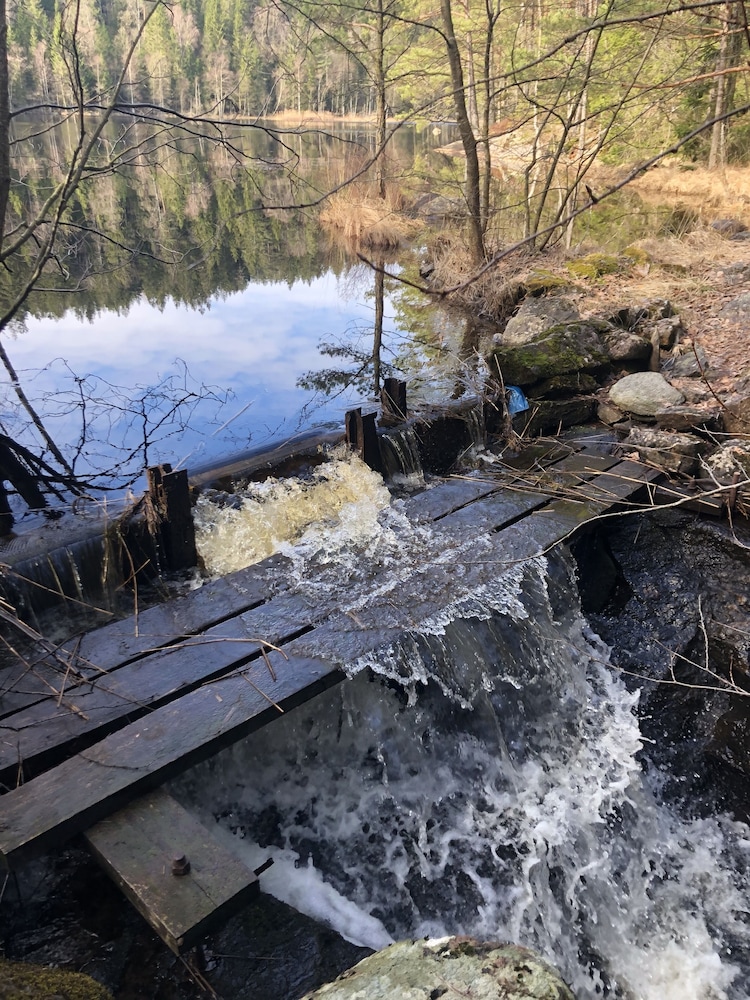 Bjorsjodal 18/50