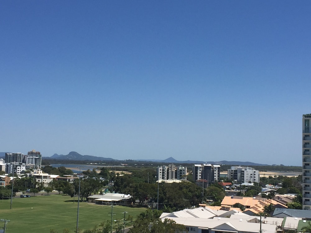 Verve On Cotton Tree 39/50