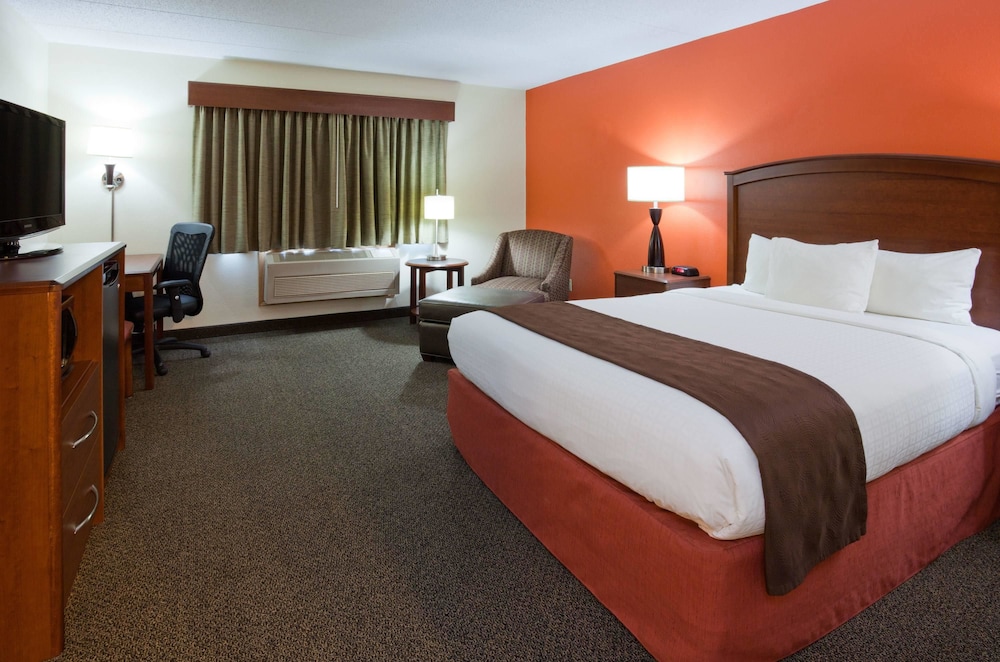 Studio, Suite, King Bed