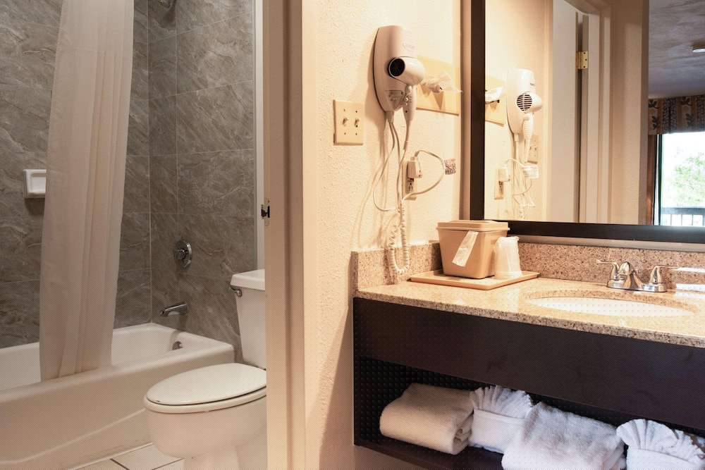 SureStay Hotel by Best Western St. Pete Clearwater Airport 26/43