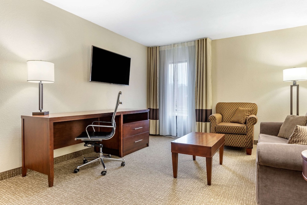 Comfort Inn & Suites Clemson - University Area 38/49