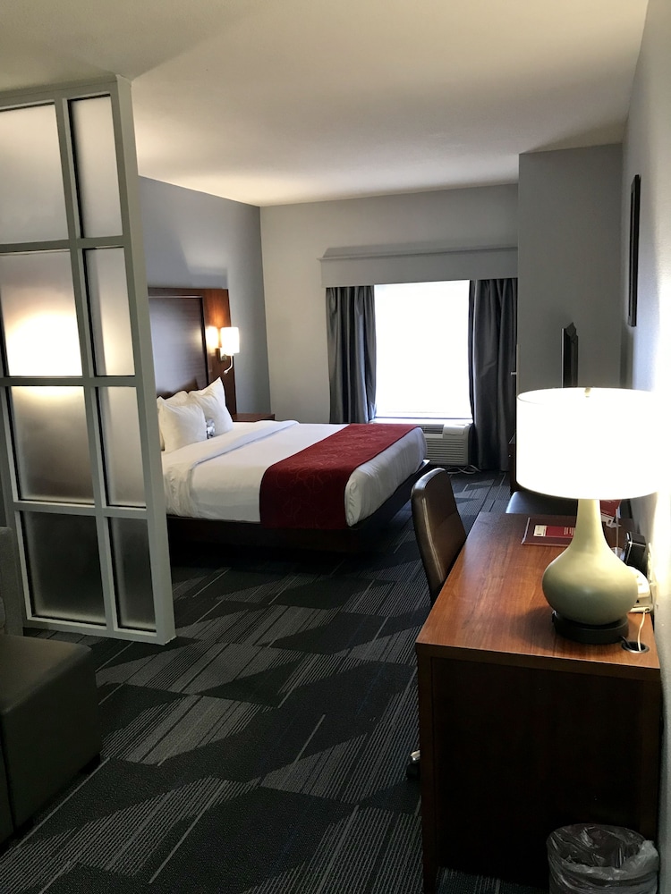 Comfort Suites Olive Branch - Memphis South 29/43