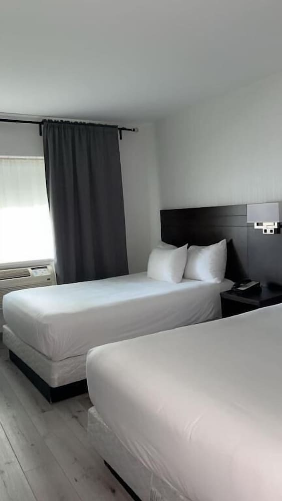 FAMILY, MULTIPLE BEDS, KITCHENETTE