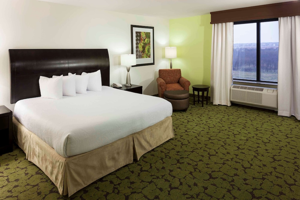 Hilton Garden Inn Dallas-Lewisville 16/79