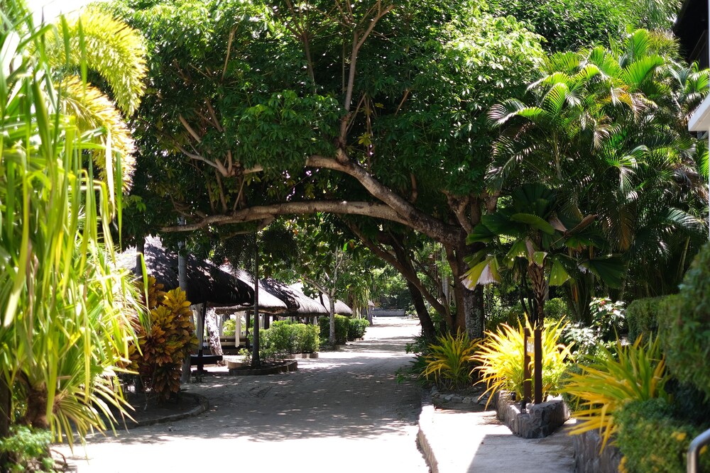 Palm Beach Resort 35/48