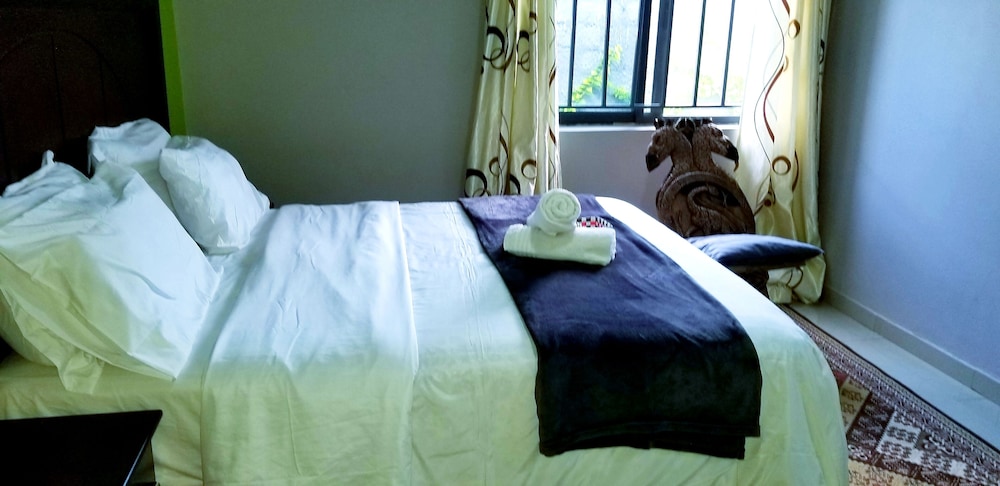 Exquisite Modern Apartment In Lusaka 20/47