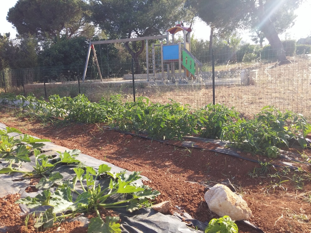 Agriturismo Il Trappeto 42/45