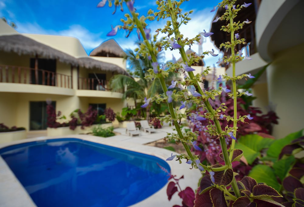 Villas Akalan 67/75