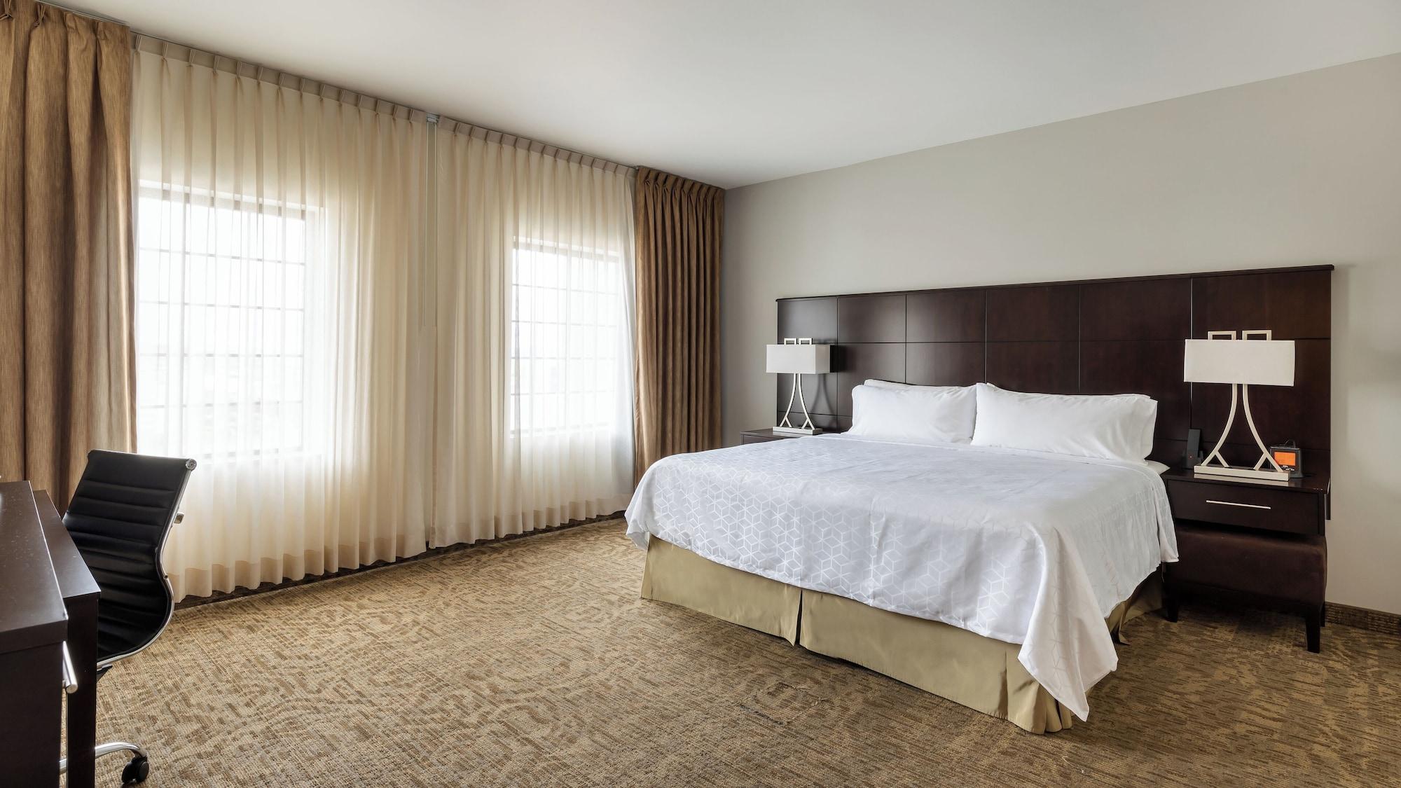 1 Bedroom, Suite, Kitchen