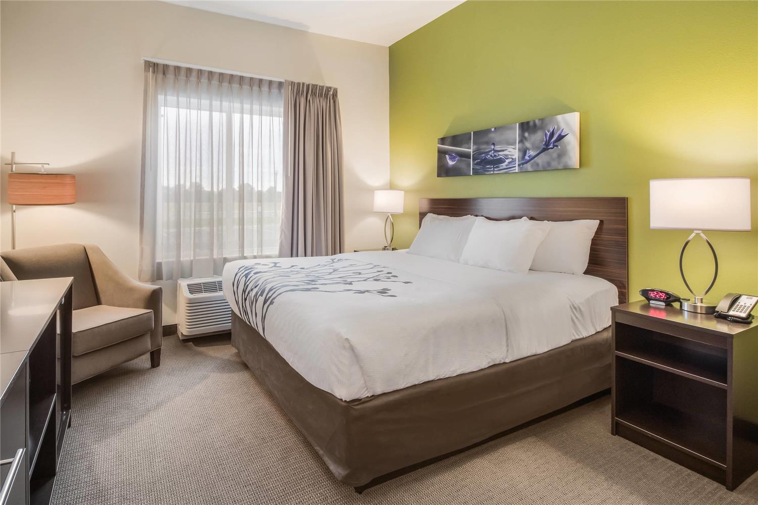 Suite, King Bed, Accessible