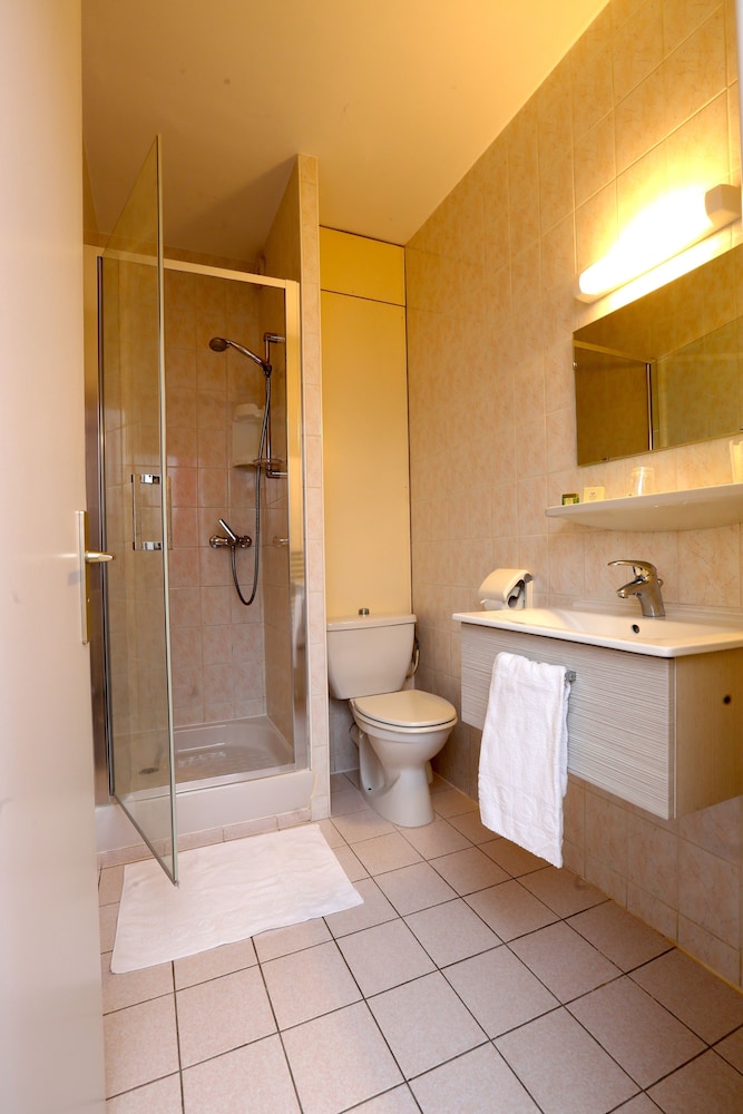 Logis Hotel la Terrasse Fleurie 43/43