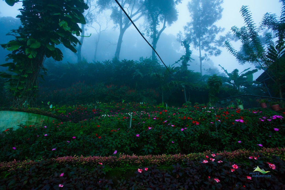 MISTY MOUNTAIN RESORT 57/64