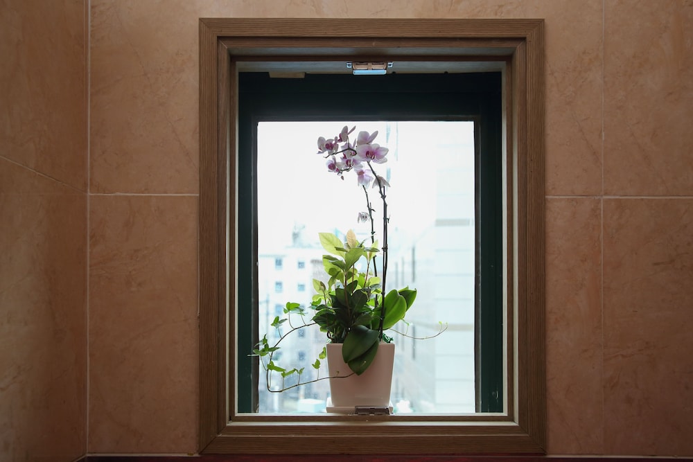 Daeyoung Hotel Seoul 44/66