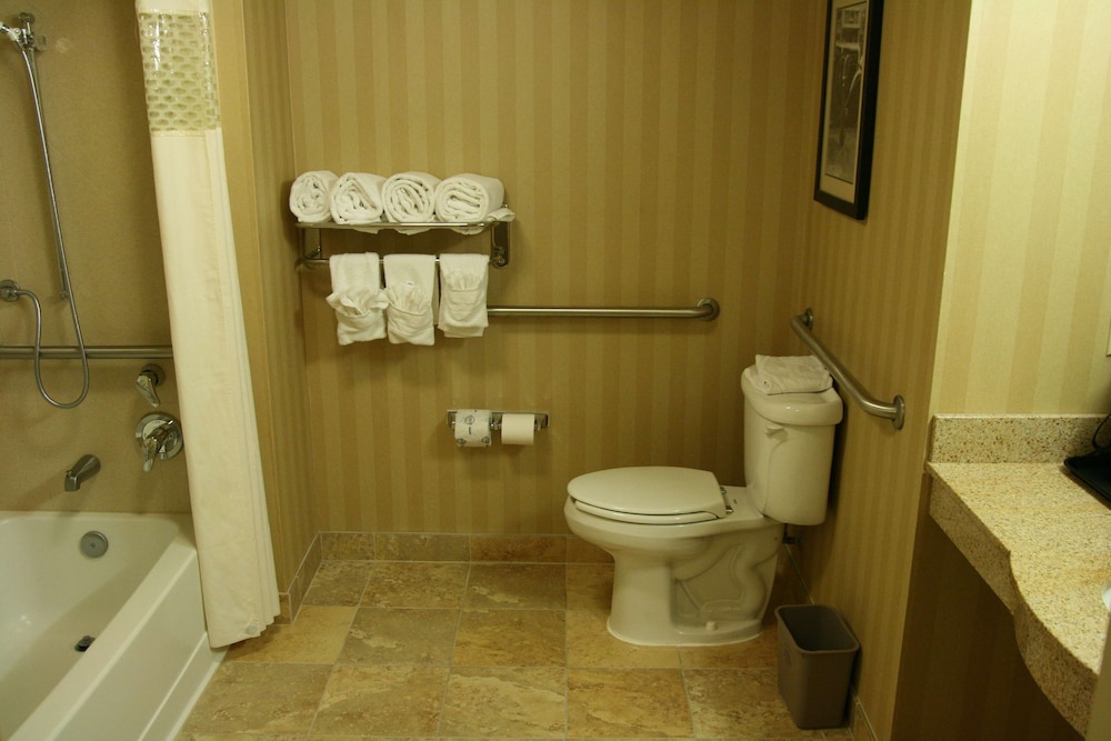 Hampton Inn & Suites Mobile Providence Park/Airport 18/56