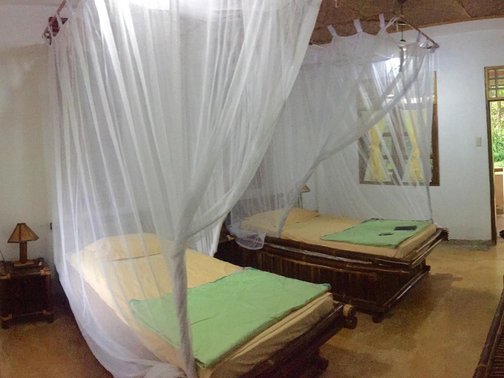 Ecolodge Bukit Lawang 25/58