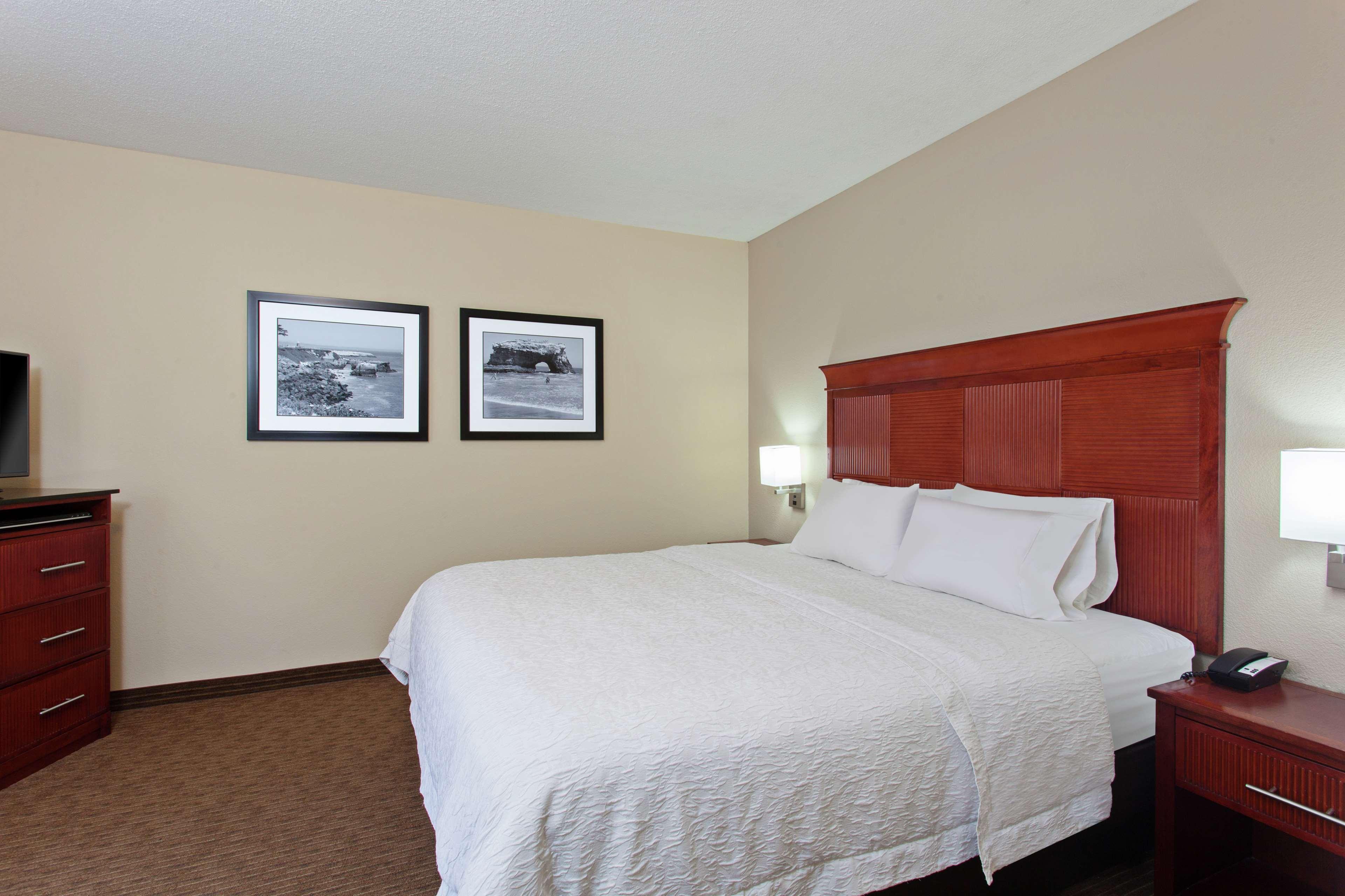 MINI, SUITE, KING BED, SOFA