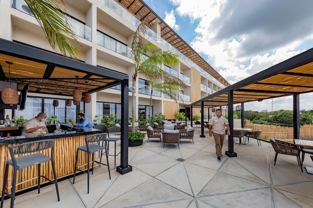 Hive Cancun 43/50