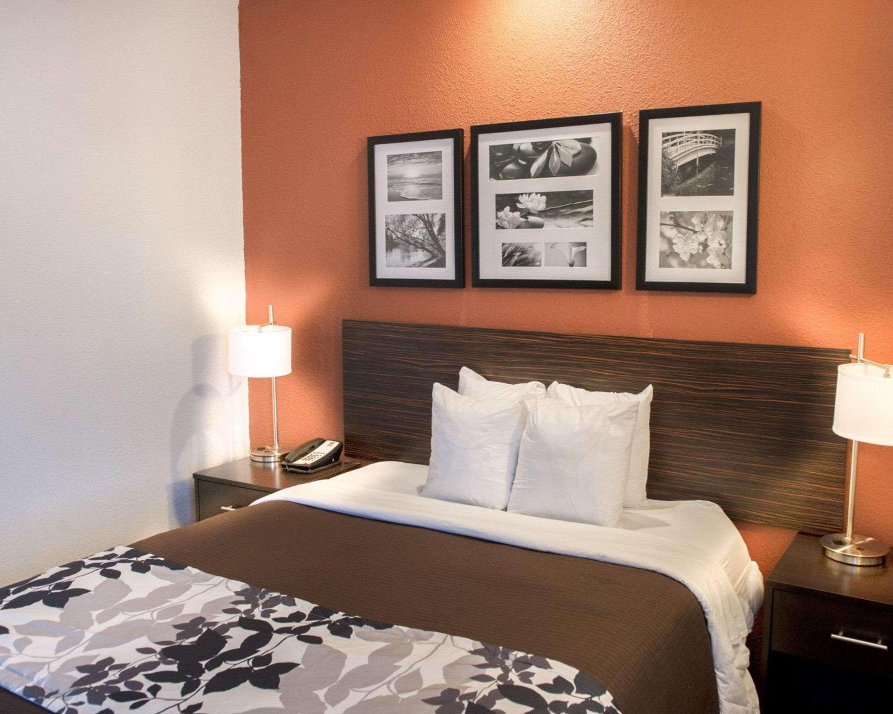Room, Queen Bed