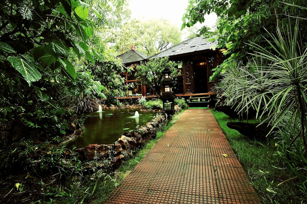 The Tree House Resort 20/35
