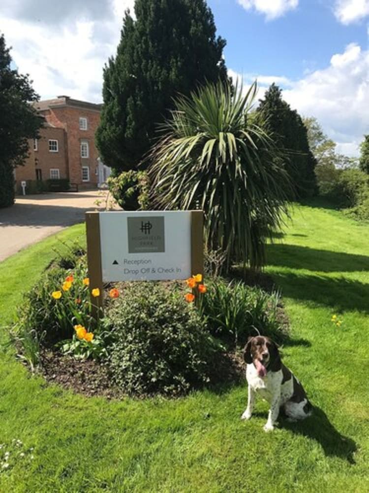 Highfield Park 38/50