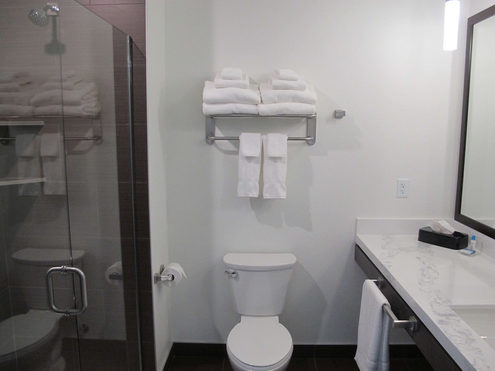 Best Western Plus Peppertree Nampa Civic Center Inn 10/47