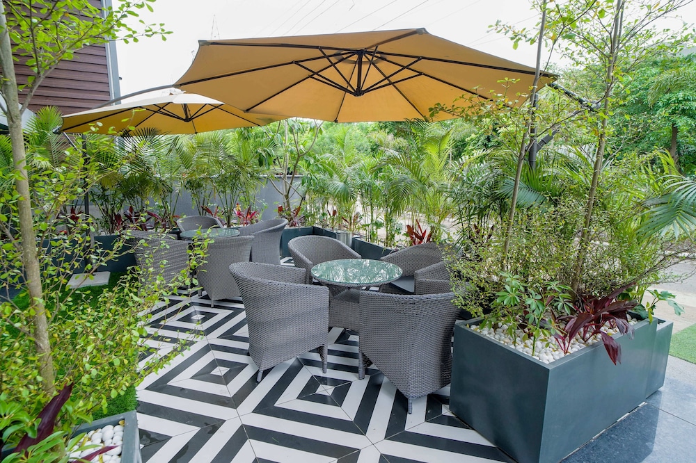 Saltstayz Basil - Near Golf Course Road 42/50