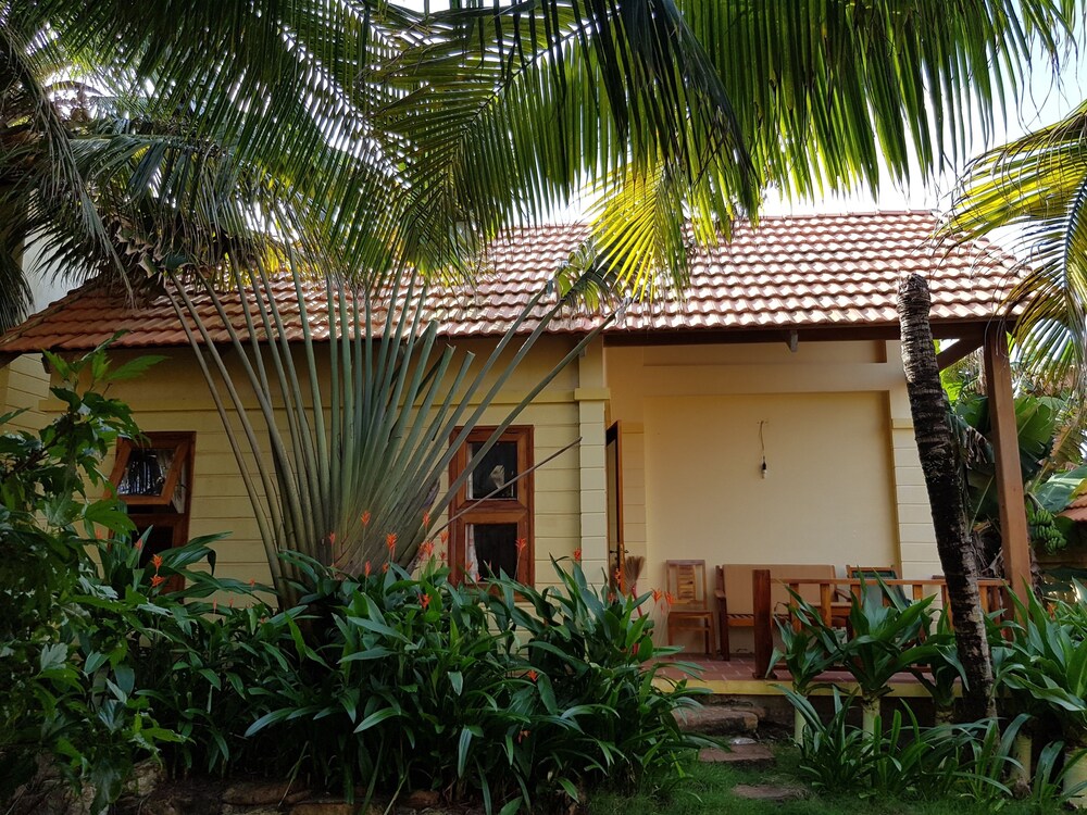 Free Beach Resort 6/50
