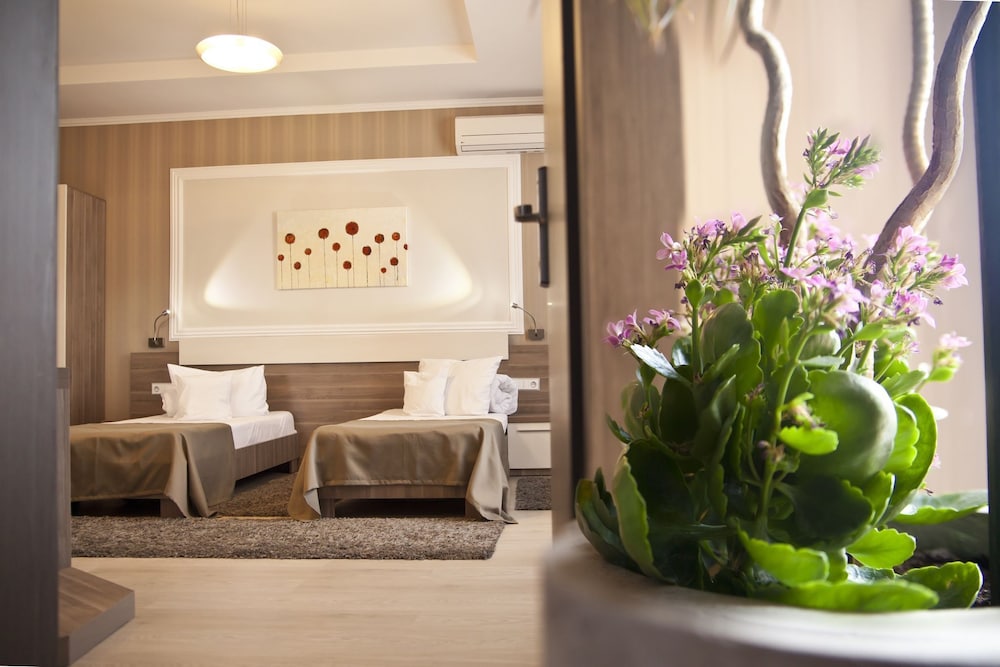 Hotel Confort 3/54