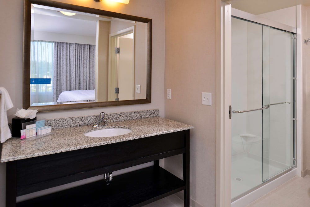 Hampton Inn Suites Orlando Downtown South Medical Center 22/46