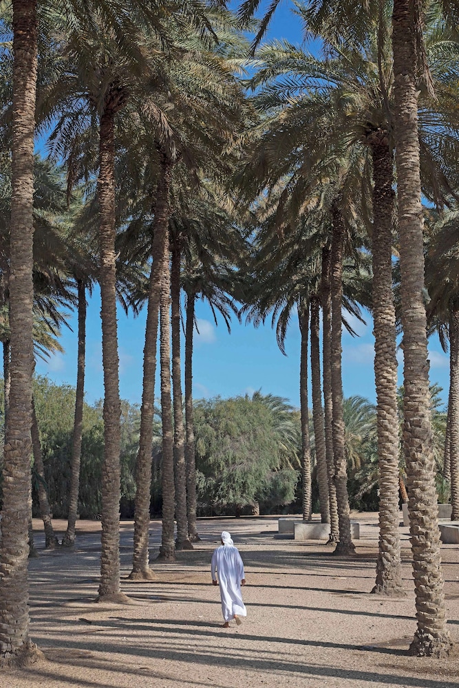 Anantara Sir Bani Yas Island Al Yamm Villa Resort 12/49