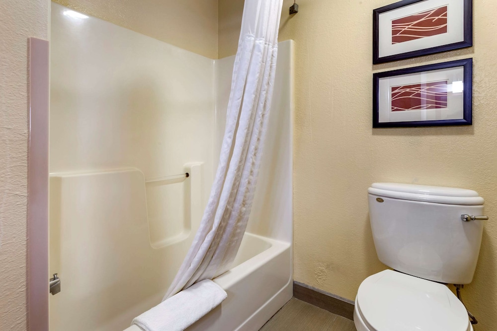 Comfort Inn and Suites North Aurora Naperville 46/50