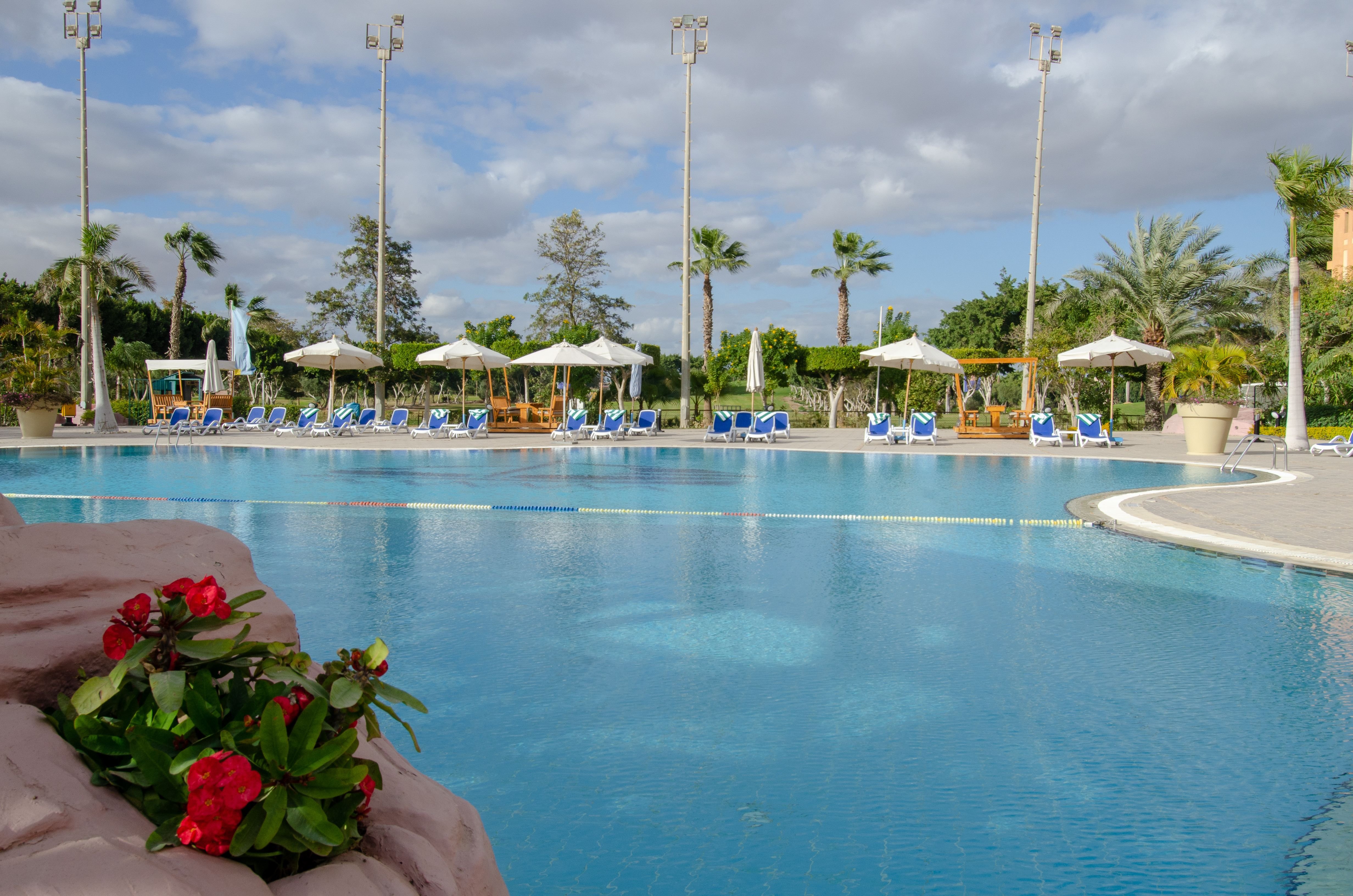 Swiss Inn Pyramids Golf Resort 40/40