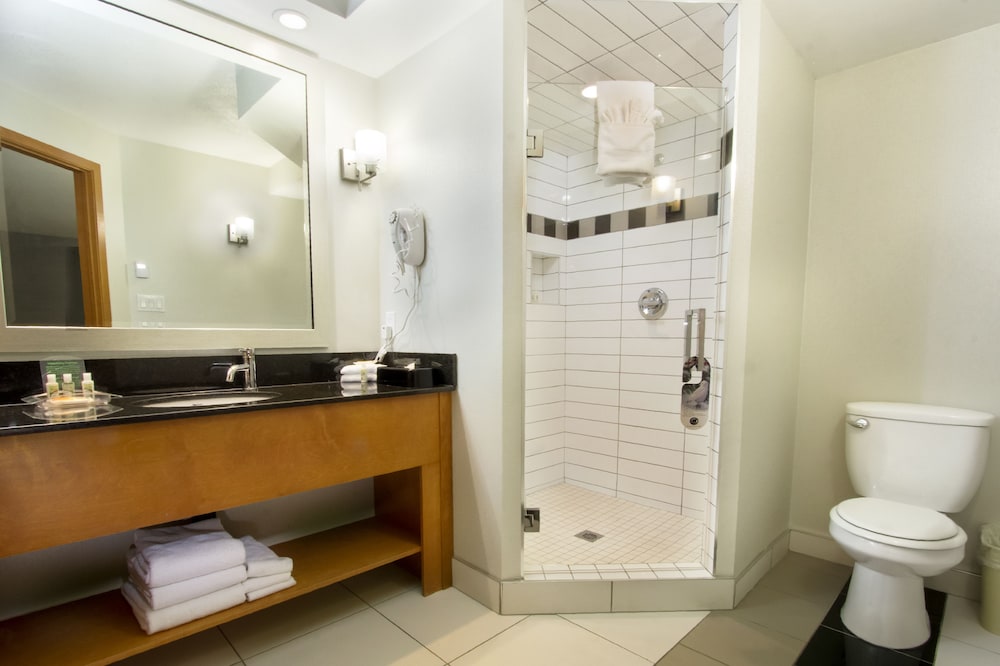 Holiday Inn Calgary- Airport 28/65