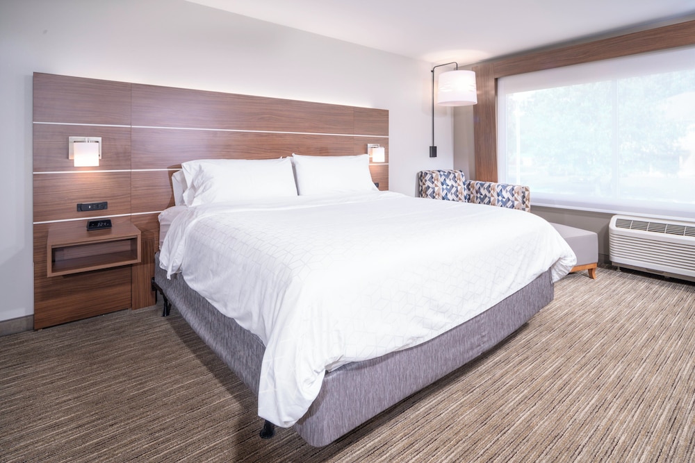Holiday Inn Express and Suites Brevard City Center 13/51