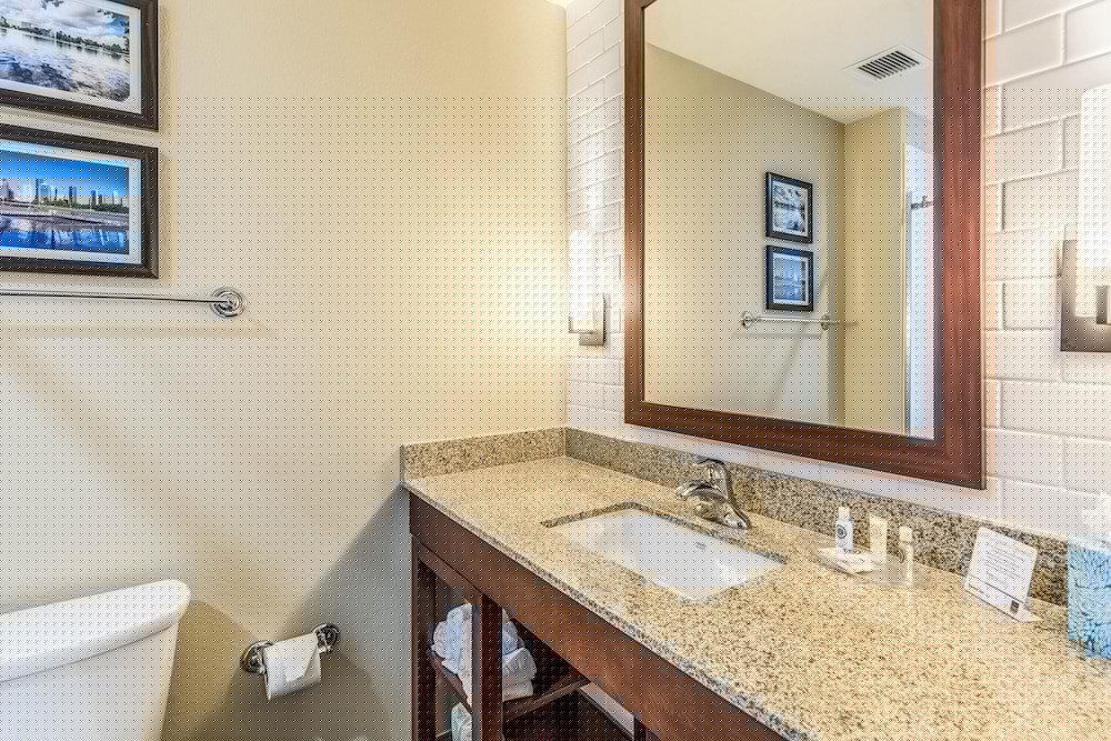 Comfort Suites Channelview - Houston East 15/41