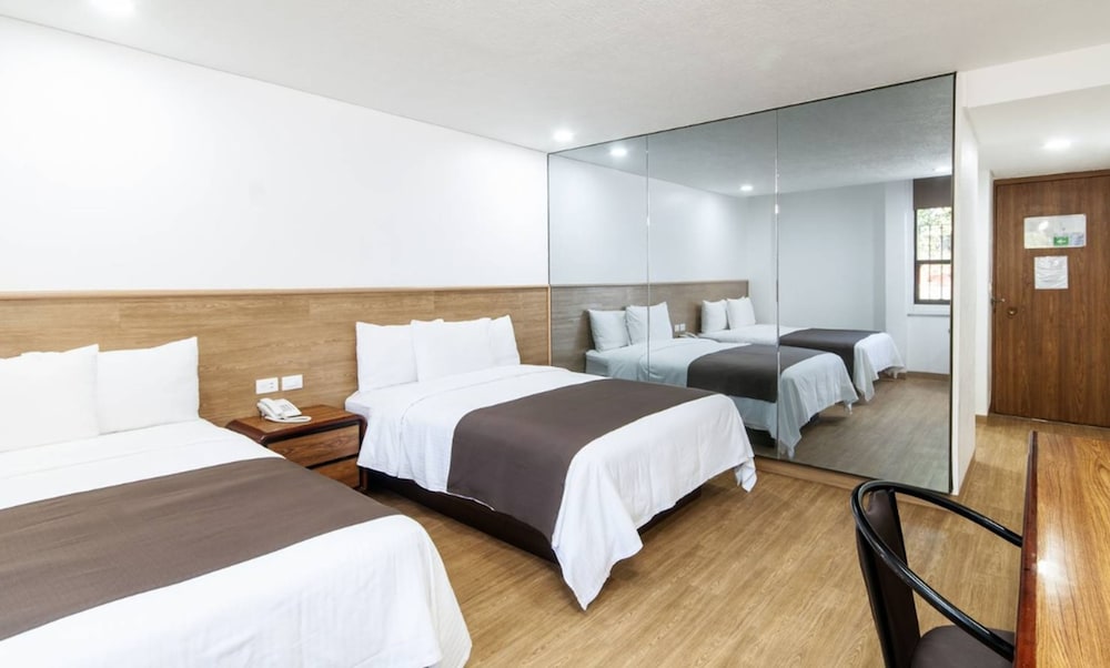 Hotel San Lucas 21/66
