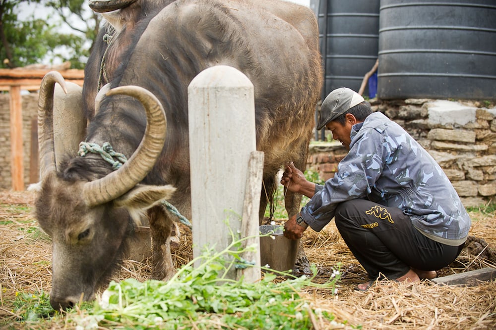 Hananoie-A Permaculture Resort 20/20