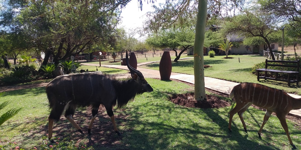 Mangwa Valley Game Lodge 40/50